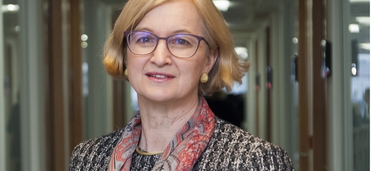 HMCI commentary on knife crime