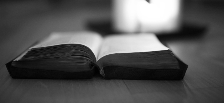 Primary Subject Leaders – Deep Dive